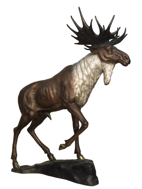 Baying Moose  Baying Moose